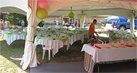 Picture of a wedding reception under a tent at Spirit Point
